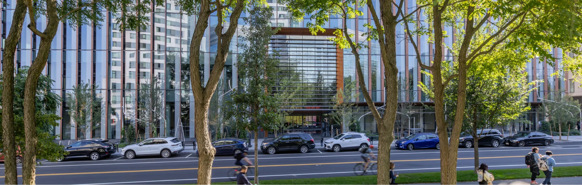 Modern glass office building facade with tree lined street parked cars and cyclists