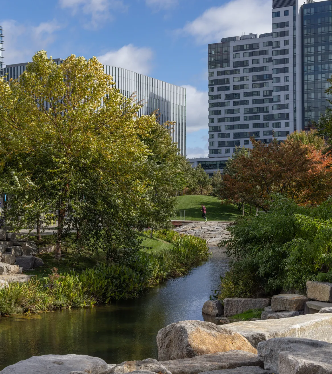 Cambridge green space featuring natural water feature trees and contemporary residential and office towers