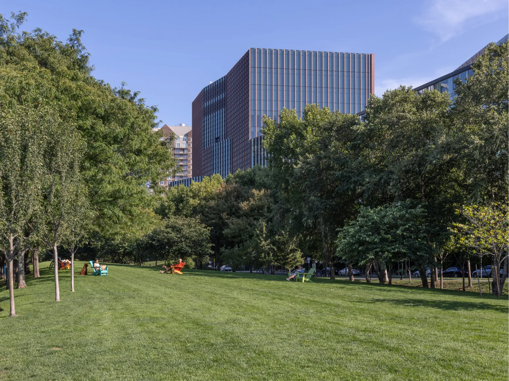 Cambridge Crossing green space featuring open grassy field colorful chairs and contemporary glass building backdrop