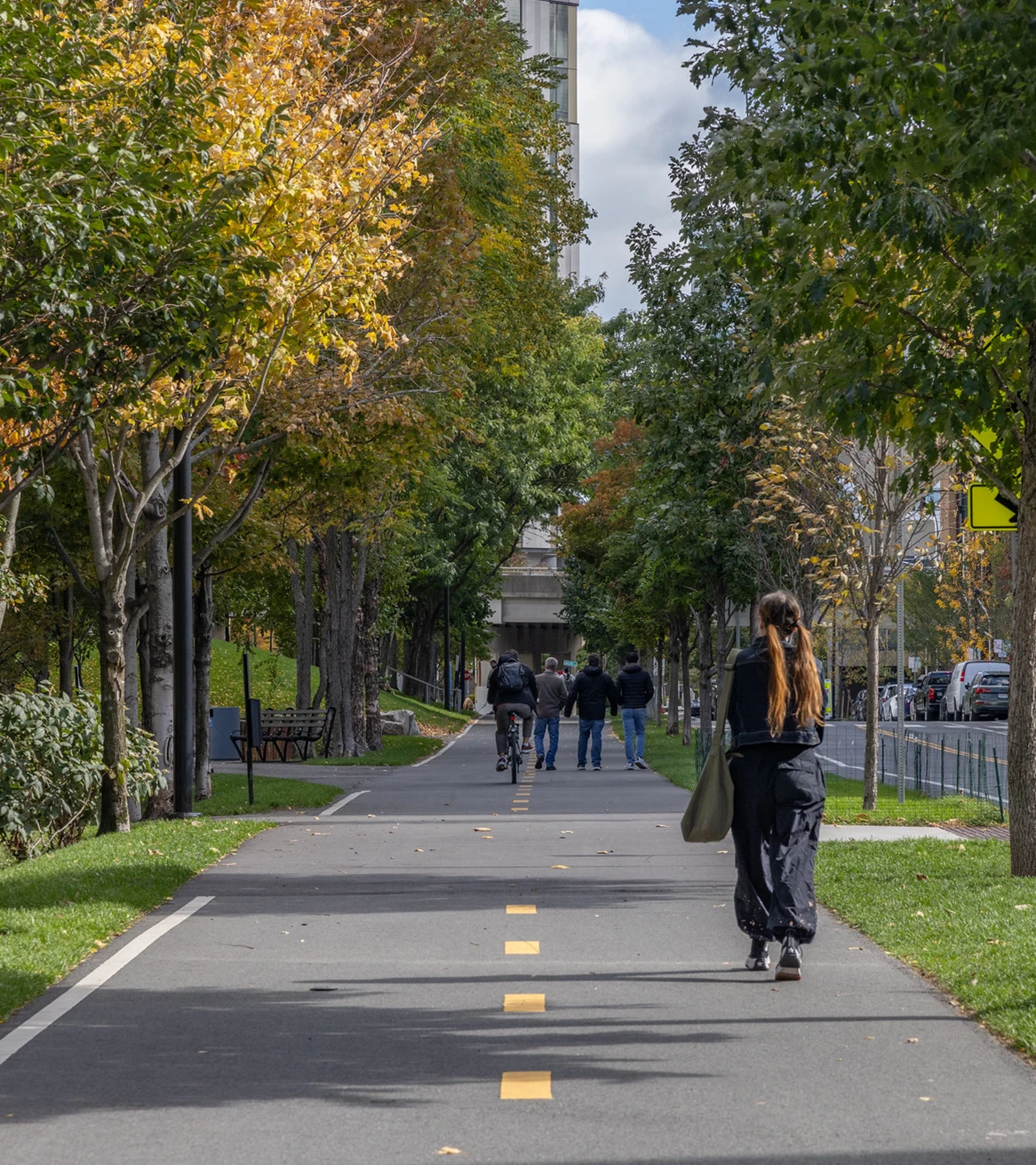 Tree lined pedestrian and bike path with people walking cycling and autumn foliage in urban setting