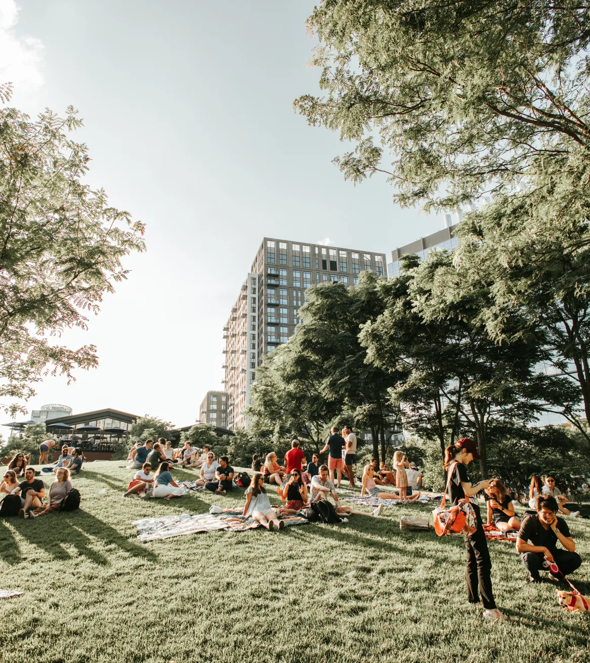 People relaxing on grassy park lawn with blankets near modern buildings and shaded trees